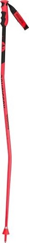 Rossignol coppia bastoni - rossignol,